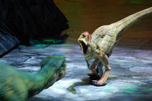 Dinozauri pārsteidzoši, dabiskā lielumā ieņēmuši "Arēnu Rīga" (FOTO) (Bilde 2)