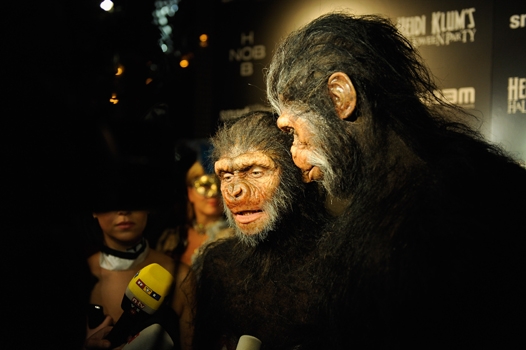 Heidija Kluma ar vīru iejutusies primātu ādā FOTO  (Bilde 1)