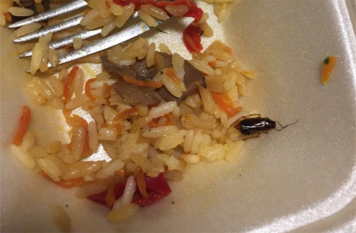 Prusaku un tarakānu valstība - prestižais Spices Lido (Bilde 1)