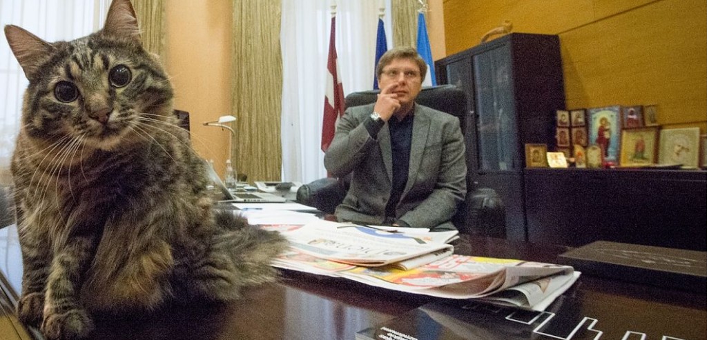 Muzeju naktī aicinājums apmeklēt Rīgas Rāti un paglaudīt Ušakova kaķus Kuzju un Muri (Bilde 1)