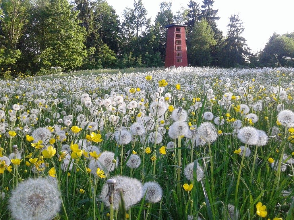 Četru kaislīgu slavenību ceļotāju stāstus piedāvā izstāde Balttour 2018 (Bilde 4)