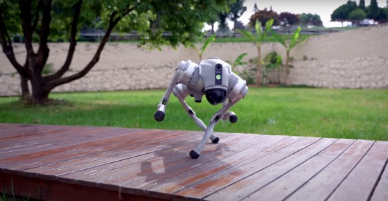 Robotsuņa Baltijas pirmizrāde izstādē Tech Industry 2023. FOTO/VIDEO (Bilde 1)