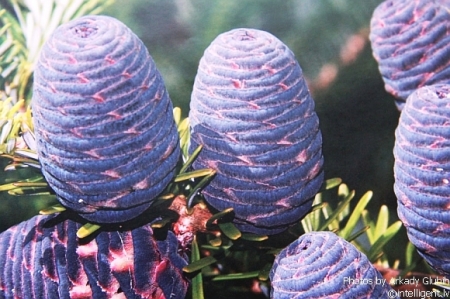 Zemkopības ministrs Mārtiņš ROZE kļuvis par fotogrāfu (Bilde 3)