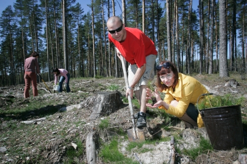 Jana un Oskars stāda kokus (Bilde 2)