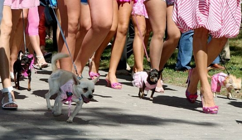 Blondīņu gājienā piedalās vairāki simti dalībnieču (FOTO, VIDEO) (Bilde 1)