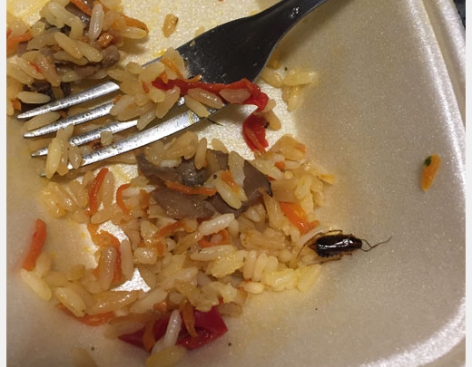 Prusaku un tarakānu valstība - prestižais Spices Lido