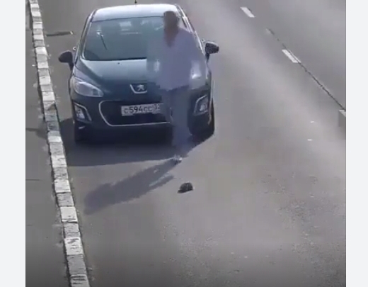 Aizkustinošs video, cik šoferi spēj būt iejūtīgi pret uz ielas nokļuvušu kaķēnu