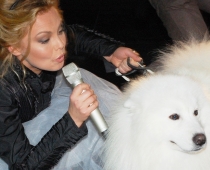 Lindas LEEN albuma prezentācijā dzīvi suņi (FOTO)