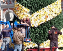 Scenogrāfs Kristaps Skulte Rātslaukumā uzstādījis egli (FOTO)