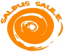 Festivālu "Saldus Saule" būs iespēja vērot lidojumā no gaisa balona