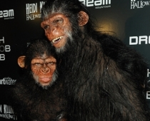 Heidija Kluma ar vīru iejutusies primātu ādā FOTO