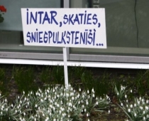 Par aktiera Rešetina maigo dvēseli; mājieni par slēptu gejismu