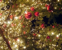 11.novembra krastmalā iedegs Ziemassvētku egli un svētku apgaismojumu