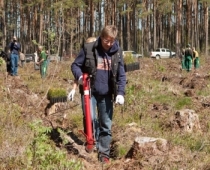 Rīgas domes vadība stāda mežu