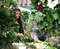 Aicina pieteikties tirdzniecībai Zāļu tirgū